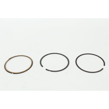Ryobi Genuine OEM Replacement Piston Ring # 678747003
